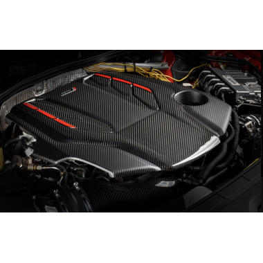 APR Carbon Motorabdeckungen 2.9T/3.0T EA839